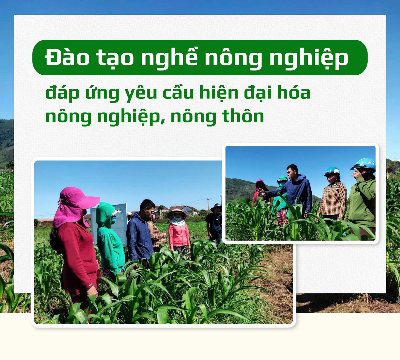 Khóa học Nghiệp vụ nghề nông nghiệp tại TPHCM